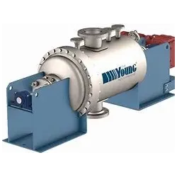 Young Ind - Horizontal Ribbon Mixers -  - 3